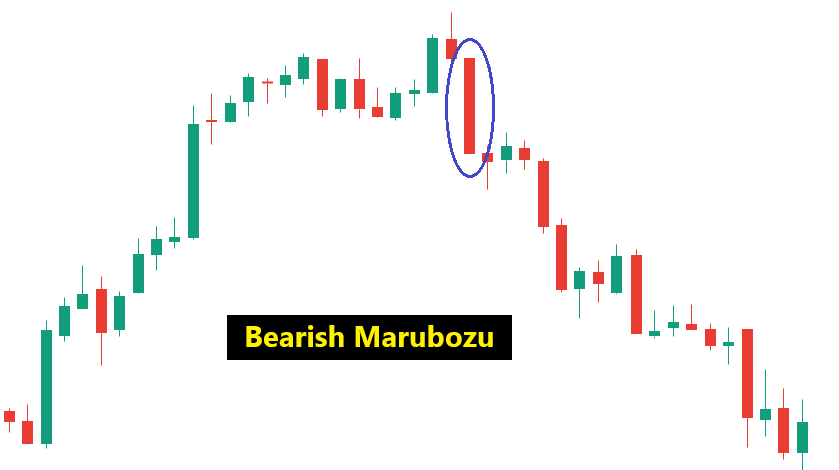 bearish-marubozu